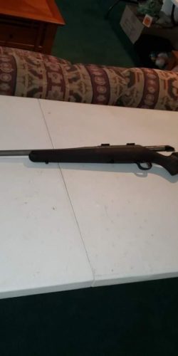 Defiance, MO Auction Rifle